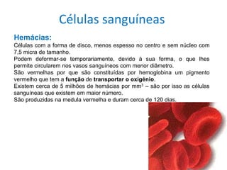 Células sanguíneas
Hemácias:
Células com a forma de disco, menos espesso no centro e sem núcleo com
7,5 micra de tamanho.
Podem deformar-se temporariamente, devido à sua forma, o que lhes
permite circularem nos vasos sanguíneos com menor diâmetro.
São vermelhas por que são constituídas por hemoglobina um pigmento
vermelho que tem a função de transportar o oxigénio.
Existem cerca de 5 milhões de hemácias por mm3 – são por isso as células
sanguíneas que existem em maior número.
São produzidas na medula vermelha e duram cerca de 120 dias.
 