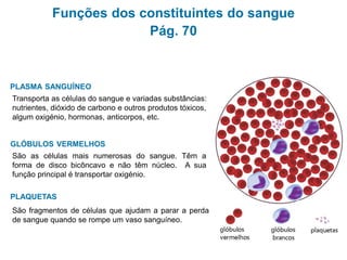 Funções dos constituintes do sangue
Pág. 70
Transporta as células do sangue e variadas substâncias:
nutrientes, dióxido de carbono e outros produtos tóxicos,
algum oxigénio, hormonas, anticorpos, etc.
PLASMA SANGUÍNEO
GLÓBULOS VERMELHOS
São as células mais numerosas do sangue. Têm a
forma de disco bicôncavo e não têm núcleo. A sua
função principal é transportar oxigénio.
PLAQUETAS
São fragmentos de células que ajudam a parar a perda
de sangue quando se rompe um vaso sanguíneo.
 
