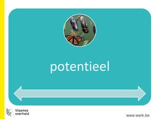 potentieel
www.werk.be
 