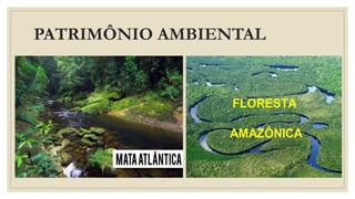 PATRIMÔNIO AMBIENTAL
 