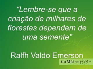 “ Lembre-se que a criação de milhares de florestas dependem de uma semente” Ralfh Valdo Emerson 