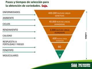 El rol de las Asociaciones de semillas como facilitadores del comercio, Por Diego Risso