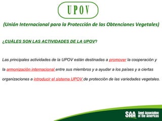 El rol de las Asociaciones de semillas como facilitadores del comercio, Por Diego Risso