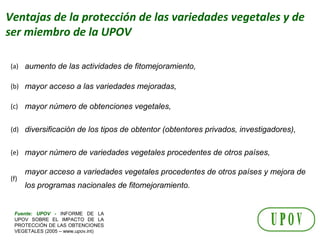 El rol de las Asociaciones de semillas como facilitadores del comercio, Por Diego Risso