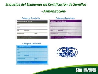 El rol de las Asociaciones de semillas como facilitadores del comercio, Por Diego Risso