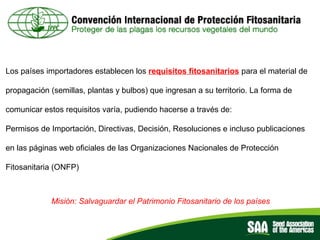 El rol de las Asociaciones de semillas como facilitadores del comercio, Por Diego Risso