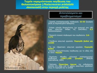 Σσταία παρεκπίπηοσζα παγίδεσζε ηοσ
                     Θαιαζζοθόραθα (Phalacrocorax aristotelis
                        desmarestii) ζηελ περηοτή κειέηες

                                                       Αποηελέζμαηα και
                                                       προβλημαηιζμοί
                                         Τνπηθόο αλαπαξαγσγηθόο πιεζπζκόο: 31-53 δεπγάξηα
                                         (ΔΟΔ κε δεκνζηεπκέλα δεδνκέλα)

                                         Eηήζηνεπίπεδν ζλεζηκόηεηαο (κε αλαγσγή ζηα 189
                                         επαγ.  αιηεπηηθά  ζθάθε    ηεο  Εαθύλζνπ):  6,3
                                         Θαιαζζνθόξαθεο

                                         Πνζνζηό   ηνπηθνύ πιεζπζκνύ πνπ παγηδεύεηαη :3.0-
                                         5.1%

                                         Υπεύζπλα    αιηεπηηθά εξγαιεία: Παραγάδη βσζού θαη
                                         απιάδη

                                         Τν   πην «δξαζηηθό» αιηεπηηθό εξγαιείν: Παραγάδη
                                         βσζού
                                         Δπίπεδν παξεκπίπηνπζαο παγίδεπζεο γηα ην είδνο ζην
                                         Λ. Ηόλην: Υακειό

                                         Σεκείσζε:      Κέγεζνο  ειιεληθνύ   αλαπαξαγσγηθνύ
                                         πιεζπζκνύ       1,000-1,200     δεσγάρηα    (BirdLife
                                         International, 2004)

                                         Πξόηαζε:   Περαηηέρω έρεσλα ηεο ελδερόκελεο
                                         απεηιήο ζην είδνο από ηε ρξήζε αιηεπηηθώλ εξγαιείσλ
© Ορνιθολογική/ Α. Χρηζηίδης             όπσο ην παξαγάδη θαη ην απιάδη
 