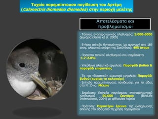 Σσταία παρεκπίπηοσζα παγίδεσζε ηοσ Αρηέκε
(Calonectris diomedea diomedea) ζηελ περηοτή κειέηες

                                        Αποηελέζμαηα και
                                        προβλημαηιζμοί
                           Τνπηθόο  αλαπαξαγσγηθόο πιεζπζκόο: 5.000-6000
                           δεπγάξηα (Karris et al. 2009)

                           Eηήζην  επίπεδν ζλεζηκόηεηαο (κε αλαγσγή ζηα 189
                           επαγ. αιηεπηηθά ζθάθε ηεο Εαθύλζνπ): 495 άηοκα

                           Πνζνζηό ηνπηθνύ πιεζπζκνύ πνπ παγηδεύεηαη
                           :1.7-2.0%

                           Υπεύζπλα αιηεπηηθά εξγαιεία: Παραγάδη βσζού &
                           παραγάδη επηθαλείας

                           Τν  πην «δξαζηηθό» αιηεπηηθό εξγαιείν: Παραγάδη
                           βσζού (θσρίως ηο θαιοθαίρη)
                           Δπίπεδν παξεκπίπηνπζαο παγίδεπζεο γηα ην είδνο
                           ζην Λ. Ηόλην: Μέηρηο

                           Σεκείσζε:    Δπίπεδα παγθόζκηνπ αλαπαξαγσγηθνύ
                           πιεζπζκνύ        50.000      δεσγάρηα   (BirdLife
                           International, 2004) κε θζίλνπζα πνξεία

                           Πξόηαζε:   Περαηηέρω έρεσλα ηεο ελδερόκελεο
                           απεηιήο ζην είδνο από ηε ρξήζε παξαγαδηνύ
 