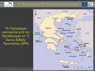 Το Πρόγραμμα LIFE για ηα Θαλαζζοπούλια




  Το Πρόγραμμα
σλοποιείηαι από ηην
Ορνιθολογική ζε 17
  Εώνες Διδικής
Προζηαζίας (SPA)
 