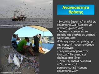 Αλαγθαηόηεηα
                                        δράζες

                                 • Βy-catch: Σεκαληηθή απεηιή γηα
© Ορνιθολογική/ Α. Δσαγγελίδης   ζαιαζζνπνύιηα (άιια θαη γηα
                                 ρειώλεο, θώθηεο θιπ)
                                 • Δπξύηαηε έξεπλα γηα ην
                                 επίπεδν ηεο απεηιήο ζε σθεάληα
                                 νηθνζπζηήκαηα
                                 •Έιιεηςε επαξθνύο γλώζεο γηα
                                 ηελ παξεκπίπηνπζα παγίδεπζε
                                 ζηε Κεζόγεην
                                 • Διάρηζηε δεδνκέλα ζηελ
                                 Αλαηνιηθή Κεζόγεην θαη
                                 ηδηαίηεξα ζην Ηόλην
                                 • Ηόλην: Σεκαληηθά αιηεπηηθά
                                 πεδία, απνηθίεο &
                                 κεηαλαζηεπηηθό πέξαζκα
© Ορνιθολογική/ Α. Χρηζηίδης
                                 ζαιαζζνπνπιηώλ
 