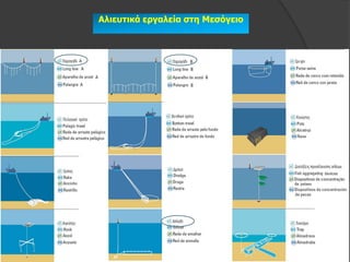 Αιηεσηηθά εργαιεία ζηε Μεζόγεηο
 