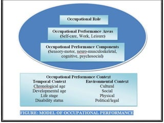 Operational Performance Model Opm Occupupational Performance Model | PPTX