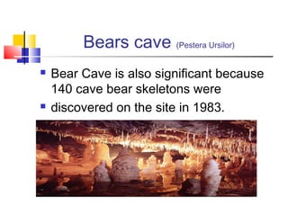 Bears cave (Pestera Ursilor) 
 Bear Cave is also significant because 
140 cave bear skeletons were 
 discovered on the site in 1983. 
 
