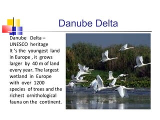 Danube Delta 
Danube Delta – 
UNESCO heritage 
It ‘s the youngest land 
in Europe , it grows 
larger by 40 m of land 
every year. The largest 
wetland in Europe 
with over 1200 
species of trees and the 
richest ornithological 
fauna on the continent. 
 