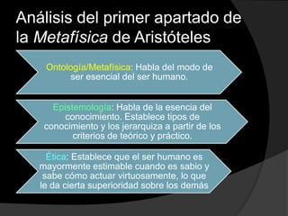 Análisis del primer apartado de la Metafísica de Aristóteles 