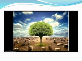 4 problemas ambientales