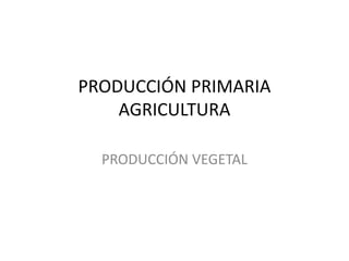 PRODUCCIÓN PRIMARIA
AGRICULTURA
PRODUCCIÓN VEGETAL
 