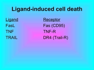Ligand-induced cell death
Ligand Receptor
FasL Fas (CD95)
TNF TNF-R
TRAIL DR4 (Trail-R)
 