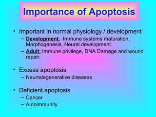 Importance of Apoptosis
• Important in normal physiology / development
– Development: Immune systems maturation,
Morphogenesis, Neural development
– Adult: Immune privilege, DNA Damage and wound
repair.
• Excess apoptosis
– Neurodegenerative diseases
• Deficient apoptosis
– Cancer
– Autoimmunity
 