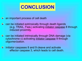 CONCLUSION
an important process of cell death
can be initiated extrinsically through death ligands
(e.g. TRAIL, FasL) activating initiator caspase 8 through
induced proximity.
can be initiated intrinsically through DNA damage (via
cytochrome c) activating initiator caspase 9 through
oligomerization.
Initiator caspases 8 and 9 cleave and activate
effector caspase 3, which leads to cell death.
 