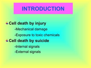 INTRODUCTION
Cell death by injury
-Mechanical damage
-Exposure to toxic chemicals
Cell death by suicide
-Internal signals
-External signals
 