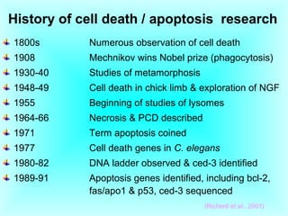 History of cell death / apoptosis research
1800s Numerous observation of cell death
1908 Mechnikov wins Nobel prize (phagocytosis)
1930-40 Studies of metamorphosis
1948-49 Cell death in chick limb & exploration of NGF
1955 Beginning of studies of lysomes
1964-66 Necrosis & PCD described
1971 Term apoptosis coined
1977 Cell death genes in C. elegans
1980-82 DNA ladder observed & ced-3 identified
1989-91 Apoptosis genes identified, including bcl-2,
fas/apo1 & p53, ced-3 sequenced
(Richerd et.al., 2001)
 