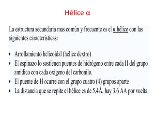 Hélice α
i
La estructura secundaria mas común y frecuente es el α hélice con las
siguientes características:
• Arrollamien...
