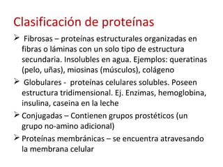 Clasificación de proteínas
 Fibrosas – proteínas estructurales organizadas en
fibras o láminas con un solo tipo de estruc...