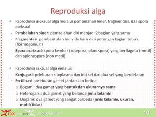 Biologi Kelas X1000guru.net 10
Reproduksi alga
• Reproduksi aseksual alga melalui pembelahan biner, fragmentasi, dan spora
aseksual
- Pembelahan biner: pembelahan diri menjadi 2 bagian yang sama
- Fragmentasi: pembentukan individu baru dari potongan bagian tubuh
(hormogonium)
- Spora aseksual: spora kembar (zoospora, planospora) yang berflagella (motil)
dan aplonospora (non motil)
• Reproduksi seksual alga melalui:
- Konjugasi: peleburan sitoplasma dan inti sel dari dua sel yang berdekatan
- Fertilisasi: peleburan gamet jantan dan betina
o Bogami: dua gamet yang bentuk dan ukurannya sama
o Heterogami: dua gamet yang berbeda jenis kelamin
o Oogami: dua gamet yang sangat berbeda (jenis kelamin, ukuran,
motil/tidak)
 