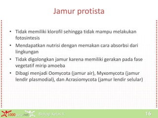 Biologi Kelas X1000guru.net 16
Jamur protista
• Tidak memiliki klorofil sehingga tidak mampu melakukan
fotosintesis
• Mendapatkan nutrisi dengan memakan cara absorbsi dari
lingkungan
• Tidak digolongkan jamur karena memiliki gerakan pada fase
vegetatif mirip amoeba
• Dibagi menjadi Oomycota (jamur air), Myxomycota (jamur
lendir plasmodial), dan Acrasiomycota (jamur lendir selular)
 