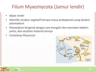 Biologi Kelas X1000guru.net 18
Filum Myxomycota (Jamur lendir)
• Myxa: lendir
• Memiliki struktur vegetatif berupa massa protoplasma yang disebut
plasmodium
• Plasmodium bergerak dengan cara mengalir dan memakan bakteri,
jamur, dan serpihan material lainnya
• Contohnya Physarium
 