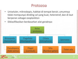 Biologi Kelas X1000guru.net 3
Protozoa
• Uniseluler, mikroskopis, habitat di tempat berair, umumnya
tidak mempunyai dinding sel yang kuat, heterotrof, dan di laut
berperan sebagai zooplankton
• Diklasifikasikan berdasarkan alat geraknya:
Kelas
protozoa
Rhizopoda
(Sarcodina)
Pseudopora
(Kaki semu)
Flagellate
(Mastigophora)
Flagel
(cambuk)
Ciliata
(Cilrophora)
Silia
(Rambut getar)
Sporozoa
Tidak ada
 