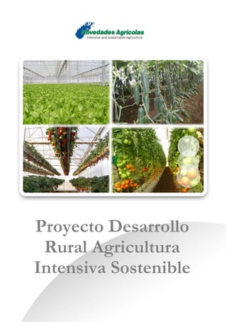 Proyecto Desarrollo
 Rural Agricultura
Intensiva Sostenible
 