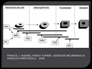 FRANCIS J. HUGHES, WENDY TURNER, GEORGIOS BELIBASAKIS &
GIANLUCA MARTUSCELLI 2006
 
