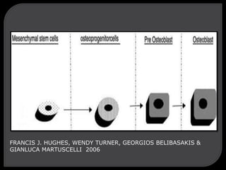 FRANCIS J. HUGHES, WENDY TURNER, GEORGIOS BELIBASAKIS &
GIANLUCA MARTUSCELLI 2006
 
