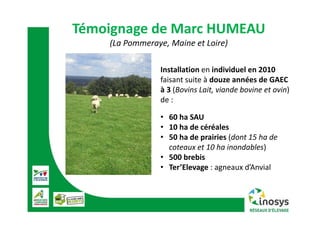 Témoignage de Marc HUMEAU
(La Pommeraye, Maine et Loire)
Installation en individuel en 2010 
faisant suite à douze années de GAEC 
à 3 (Bovins Lait, viande bovine et ovin) 
de :
• 60 ha SAU
• 10 ha de céréales
• 50 ha de prairies (dont 15 ha de 
coteaux et 10 ha inondables)
• 500 brebis
• Ter’Elevage : agneaux d’Anvial
 