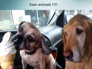 Even animals !!!! 
 