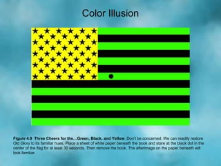 Figure 4.9  Three Cheers for the…Green, Black, and Yellow .  Don’t be concerned. We can readily restore Old Glory to its f...