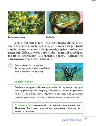 103
Серед тварин є такі, що мешкають лише в цій
частині світу: вівцебик, бізон, антилопа-вилоріг (одна
з найшвидших тварин світу), ведмідь грізлі, койот, ка-
надський бобер, скунс, поркупайн (великий дикобраз,
що живе переважно на деревах), опосум, алігатор та
алігаторова черепаха, жаба-бик.
Розгляньте фотографію.
Які природні умови необхідні
для розведення оленів?
Виконай проект
Знайди в Інтернеті або енциклопедіях інформацію про уні­
кальну рослину або тварину Північної Америки та розкажи
про неї однокласникам. Підготуй розповідь про діяльність
людей цього континенту в різних кліматичних зонах.
Я дізнався про унікальний рослинний і тваринний світ
Північної Америки, про вплив природних умов на ді­
яльність людини.
Тюльпанове дерево Жаба-бик
www.e-ranok.com.ua
 