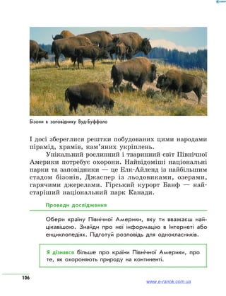 106
І досі збереглися рештки побудованих цими народами
пірамід, храмів, кам’яних укріплень.
Унікальний рослинний і тваринний світ Північної
Америки потребує охорони. Найвідоміші національні
парки та заповідники — це Елк-Айленд із найбільшим
стадом бізонів, Джаспер із льодовиками, озерами,
гарячими джерелами. Гірський курорт Банф — най-
старіший національний парк Канади.
Проведи дослідження
Обери країну Північної Америки, яку ти вважаєш най­
цікавішою. Знайди про неї інформацію в Інтернеті або
енциклопедіях. Підготуй розповідь для однокласників.
Я дізнався більше про країни Північної Америки, про
те, як охороняють природу на континенті.
Бізони в заповіднику Вуд-Буффало
www.e-ranok.com.ua
 