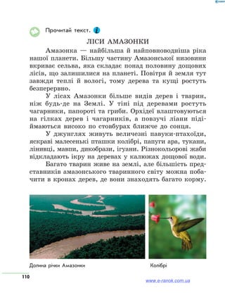 110
Прочитай текст.
Ліси Амазонки
Амазонка — найбільша й найповноводніша ріка
нашої планети. Більшу частину Амазонської низовини
вкриває сельва, яка складає понад половину дощових
лісів, що залишилися на планеті. Повітря й земля тут
завжди теплі й вологі, тому дерева та кущі ростуть
безперервно.
У лісах Амазонки більше видів дерев і тварин,
ніж будь-де на Землі. У тіні під деревами ростуть
чагарники, папороті та гриби. Орхідеї влаштовуються
на гілках дерев і чагарників, а повзучі ліани піді­­-
й­маються високо по стовбурах ближче до сонця.
У джунглях живуть величезні павуки-птахоїди,
яскраві малесенькі пташки колібрі, папуги ара, тукани,
лінивці, мавпи, дикобрази, ігуани. Різнокольорові жаби
відкладають ікру на деревах у калюжах дощової води.
Багато тварин живе на землі, але більшість пред-
ставників амазонського тваринного світу можна поба-
чити в кронах дерев, де вони знаходять багато корму.
Долина річки Амазонки	 Колібрі
www.e-ranok.com.ua
 