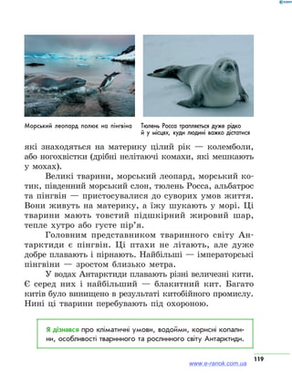 119
які знаходяться на материку цілий рік — колемболи,
або ногохвістки (дрібні нелітаючі комахи, які мешкають
у мохах).
Великі тварини, морський леопард, морський ко-
тик, південний морський слон, тюлень Росса, альбатрос
та пінгвін — пристосувалися до суворих умов життя.
Вони живуть на материку, а їжу шукають у морі. Ці
тварини мають товстий підшкірний жировий шар,
тепле хутро або густе пір’я.
Головним представником тваринного світу Ан-
тарктиди є пінгвін. Ці птахи не літають, але дуже
добре плавають і пірнають. Найбільші — імператорські
пінгвіни — зростом близько метра.
У водах Антарктиди плавають різні величезні кити.
Є серед них і найбільший — блакитний кит. Багато
китів було винищено в результаті китобійного промислу.
Нині ці тварини перебувають під охороною.
Я дізнався про кліматичні умови, водойми, корисні копали­
ни, особливості тваринного та рослинного світу Антарктиди.
Морський леопард полює на пінгвіна Тюлень Росса трапляється дуже рідко
й у місцях, куди людині важко дістатися
www.e-ranok.com.ua
 
