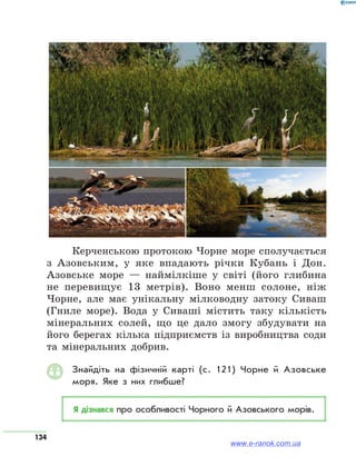 134
Керченською протокою Чорне море сполучається
з Азовським, у яке впадають річки Кубань і Дон.
Азовське море — наймілкіше у світі (його глибина
не перевищує 13 метрів). Воно менш солоне, ніж
Чорне, але має унікальну мілководну затоку Сиваш
(Гниле море). Вода у Сиваші містить таку кількість
мінеральних солей, що це дало змогу збудувати на
його берегах кілька підприємств із виробництва соди
та мінеральних добрив.
Знайдіть на фізичній карті (с. 121) Чорне й Азовське
моря. Яке з них глибше?
Я дізнався про особливості Чорного й Азовського морів.
www.e-ranok.com.ua
 