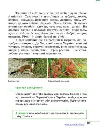 145
Тваринний світ зони мішаних лісів є дуже різно­
манітним. Там можна зустрітися із зубром, лосем,
оленем, козулею, побачити вовка, лисицю, рись, ку-
ницю, дикого кабана, борсука, білку, їжака. Виводять
пташенят орябок, глухар, тетерук, сова, дятел. На
лісових озерах і болотах живуть лелека, журавель,
кулик, лебідь. У водоймах мешкають бобри, видри,
ондатри. Річки й озера багаті на рибу.
У зоні мішаних лісів є рослини й тварини, які по-
требують охорони. До Червоної книги України занесені
тетерук, глухар, борсук, горностай, рись європейська,
видра річкова, заєць-біляк. Серед рослин — це кома-
хоїдна росичка, зозулині черевички.
Горностай	 Комахоїдна росичка
Проведи дослідження
Обери цікаву для тебе тварину або рослину Полісся з тих,
що занесені до Червоної книги України, знайди про них
інформацію в Інтернеті або енциклопедіях. Підготуй роз­
повідь для однокласників.
Я дізнався про особливості рослинного й тваринного
світу Полісся.
www.e-ranok.com.ua
 
