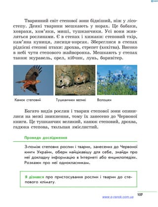 157
Тваринний світ степової зони бідніший, ніж у лісо­
степу. Деякі тварини мешкають у норах. Це бабаки,
ховрахи, хом’яки, миші, тушканчики. Усі вони жив-
ляться рослинами. Є в степах і хижаки: степовий тхір,
кам’яна куниця, лисиця-корсак. Збереглися в степах
рідкісні степові птахи: дрохва, стрепет (хохітва). Високо
в небі чути степового жайворонка. Мешкають у степах
також журавель, орел, кібчик, лунь, боривітер.
Канюк степовий Тушканчики великі Волошки
Багато видів рослин і тварин степової зони опини-
лися на межі зникнення, тому їх занесено до Червоної
книги. Це тушканчик великий, канюк степовий, дрохва,
гадюка степова, тюльпан змієлистий.
Проведи дослідження
З-поміж степових рослин і тварин, занесених до Червоної
книги України, обери найцікавішу для себе, знайди про
неї докладну інформацію в Інтернеті або енциклопедіях.
Розкажи про неї однокласникам.
Я дізнався про пристосування рослин і тварин до сте­
пового клімату.
www.e-ranok.com.ua
 