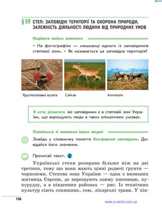 158
§59	 Степ: заповідні території та охорона природи,
залежність діяльності людини від природних умов
Поділися своїми знаннями
* На фотографіях — мешканці одного із заповідників
степової зони. * Як називається ця заповідна територія?
Круглоголовка вухата Сайгак Антилопи
Я хочу дізнатися, які заповідники є в степовій зоні Укра­
їни, що вирощують люди в таких кліматичних умовах.
Ознайомся зі знаннями інших людей
Знайди у словничку поняття біосферний заповідник. До­
відайся його значення.
Прочитай текст.
Українські степи розорано більше ніж на дві
третини, тому що вони мають цінні родючі ґрунти —
чорноземи. Степова зона України — одна з визнаних
житниць Європи, де вирощують озиму пшеницю, ку-
курудзу, а в південних районах — рис. Із технічних
культур сіють соняшник, сою, лікарські трави. У пів-
АЯ
www.e-ranok.com.ua
 