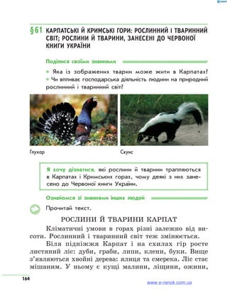 164
§61	Карпатські й Кримські гори: рослинний і тваринний
світ; рослини й тварини, занесені до Червоної
книги України
Поділися своїми знаннями
* Яка із зображених тварин може жити в Карпатах?
* Чи впливає господарська діяльність людини на природний
рослинний і тваринний світ?
Глухар Скунс
Я хочу дізнатися, які рослини й тварини трапляються
в Карпатах і Кримських горах, чому деякі з них зане­
сено до Червоної книги України.
Ознайомся зі знаннями інших людей
Прочитай текст.
Рослини й тварини Карпат
Кліматичні умови в горах різні залежно від ви-
соти. Рослинний і тваринний світ теж змінюється.
Біля підніжжя Карпат і на схилах гір росте
листяний ліс: дуби, граби, липи, клени, буки. Вище
з’являються хвойні дерева: ялиця та смерека. Ліс стає
мішаним. У ньому є кущі малини, ліщини, ожини,
www.e-ranok.com.ua
 