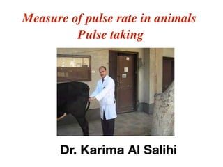 Measure of pulse rate in animals
Pulse taking
Dr. Karima Al Salihi
 