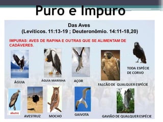 Puro e Impuro
 