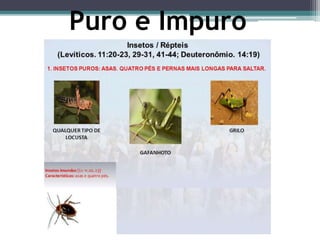 Puro e Impuro
 